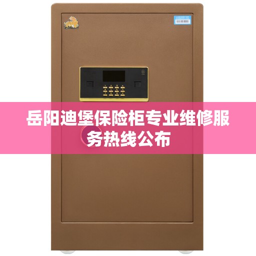 岳阳迪堡保险柜专业维修服务热线公布 岳阳迪堡保险柜专业维修服务热线公布