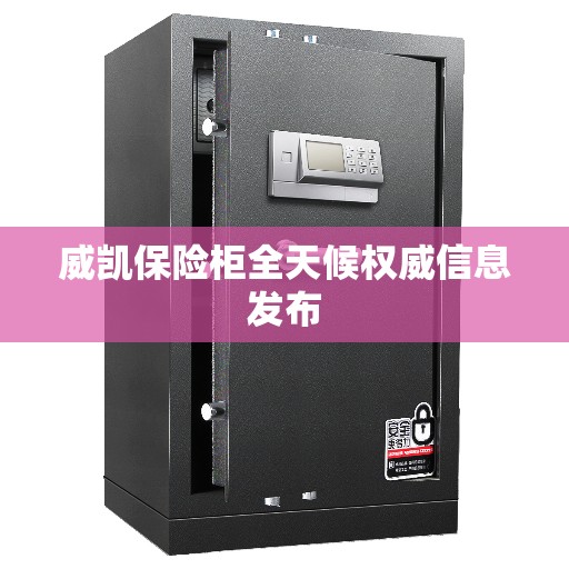 威凯保险柜全天候权威信息发布