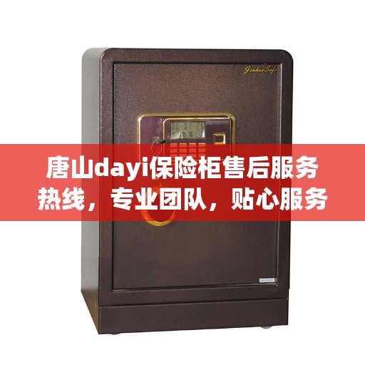唐山dayi保险柜售后服务热线，专业团队，贴心服务，为您的安全保驾护航！
