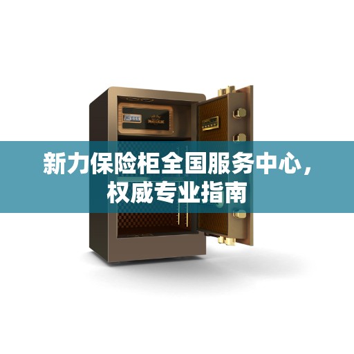 新力保险柜全国服务中心，权威专业指南