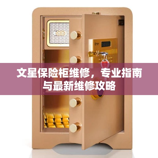 文星保险柜维修，专业指南与最新维修攻略