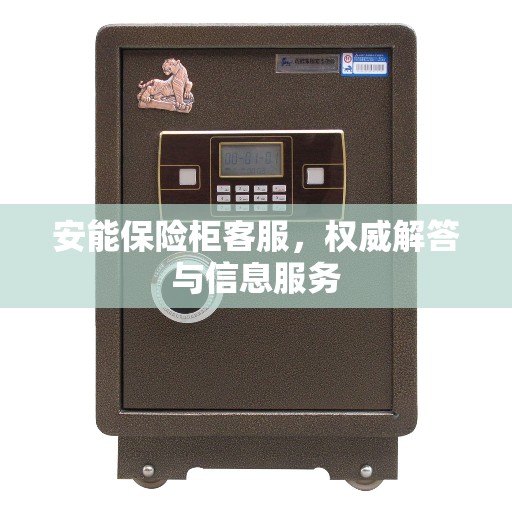 安能保险柜客服，权威解答与信息服务