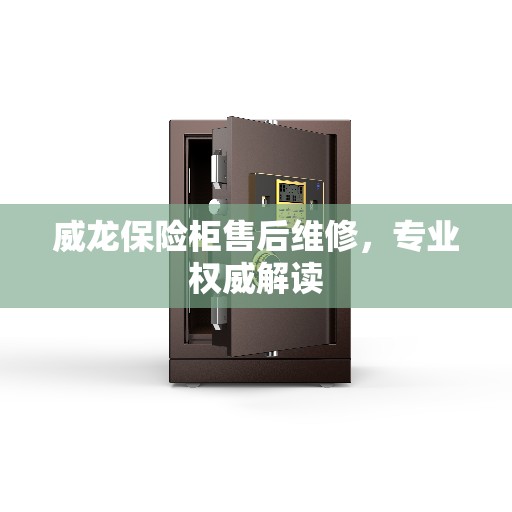 威龙保险柜售后维修，专业权威解读