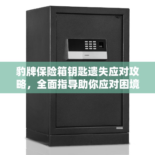 豹牌保险箱钥匙遗失应对攻略，全面指导助你应对困境