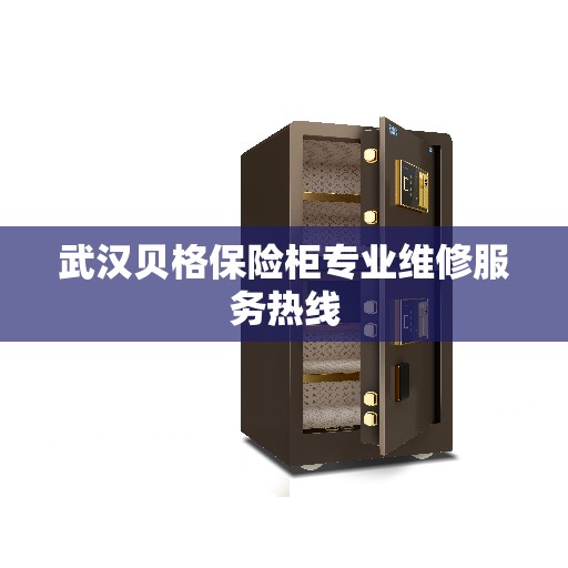 武汉贝格保险柜专业维修服务热线 武汉贝格保险柜专业维修服务热线
