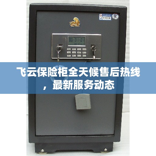 飞云保险柜全天候售后热线，最新服务动态