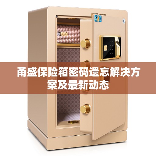 甬盛保险箱密码遗忘解决方案及最新动态