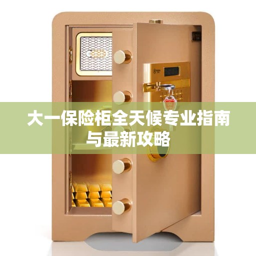 大一保险柜全天候专业指南与最新攻略