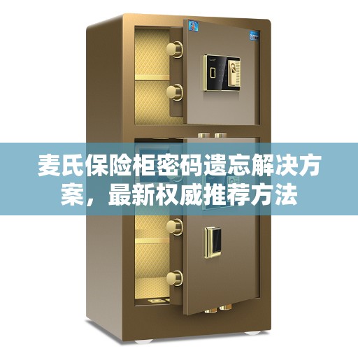 麦氏保险柜密码遗忘解决方案，最新权威推荐方法