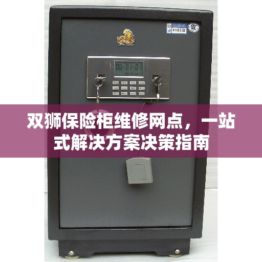 双狮保险柜维修网点，一站式解决方案决策指南