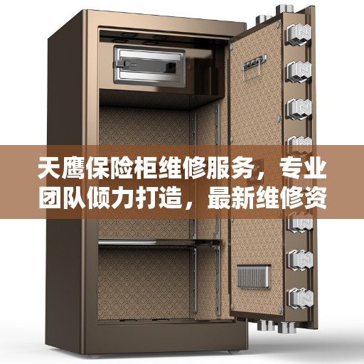 天鹰保险柜维修服务，专业团队倾力打造，最新维修资讯一网打尽