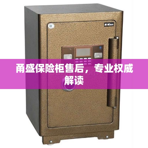 甬盛保险柜售后，专业权威解读