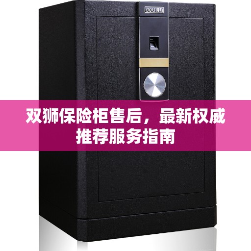 双狮保险柜售后，最新权威推荐服务指南