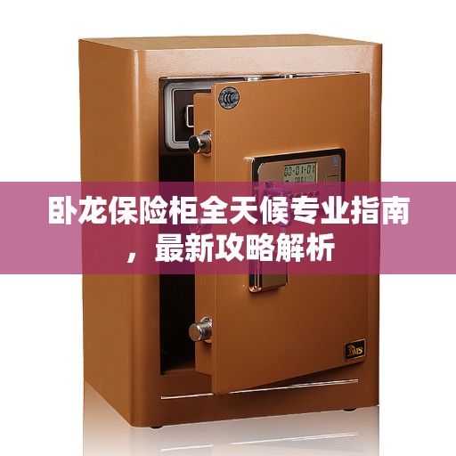 卧龙保险柜全天候专业指南，最新攻略解析