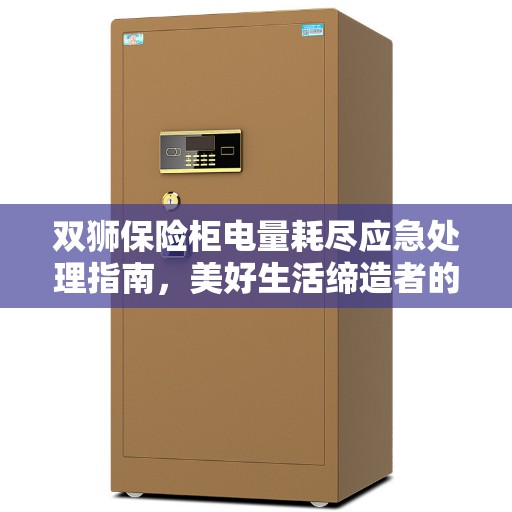双狮保险柜电量耗尽应急处理指南，美好生活缔造者的智慧之选
