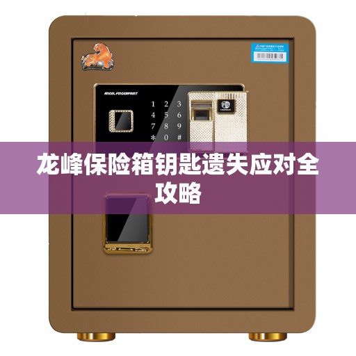 龙峰保险箱钥匙遗失应对全攻略