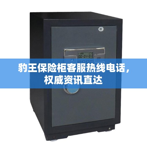 豹王保险柜客服热线电话，权威资讯直达