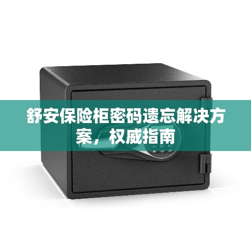 舒安保险柜密码遗忘解决方案，权威指南