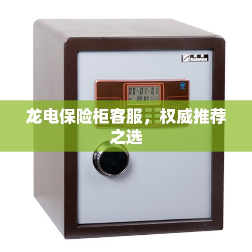 龙电保险柜客服，权威推荐之选