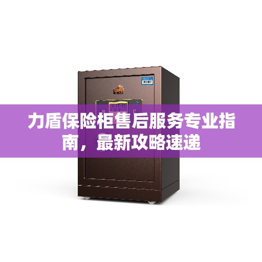 力盾保险柜售后服务专业指南，最新攻略速递