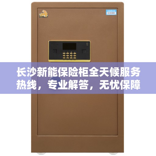 长沙新能保险柜全天候服务热线，专业解答，无忧保障