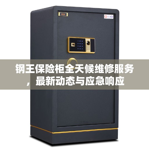 钢王保险柜全天候维修服务，最新动态与应急响应