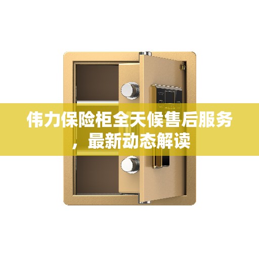 伟力保险柜全天候售后服务，最新动态解读