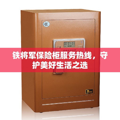 铁将军保险柜服务热线，守护美好生活之选