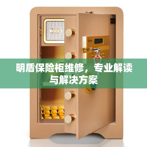 明盾保险柜维修，专业解读与解决方案