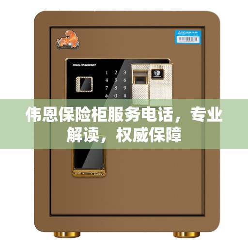 伟恩保险柜服务电话，专业解读，权威保障