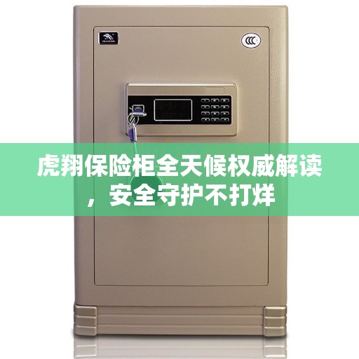 虎翔保险柜全天候权威解读，安全守护不打烊