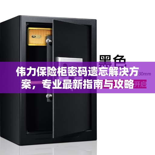 伟力保险柜密码遗忘解决方案，专业最新指南与攻略