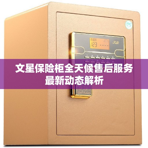 文星保险柜全天候售后服务最新动态解析