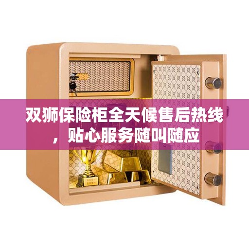 双狮保险柜全天候售后热线，贴心服务随叫随应