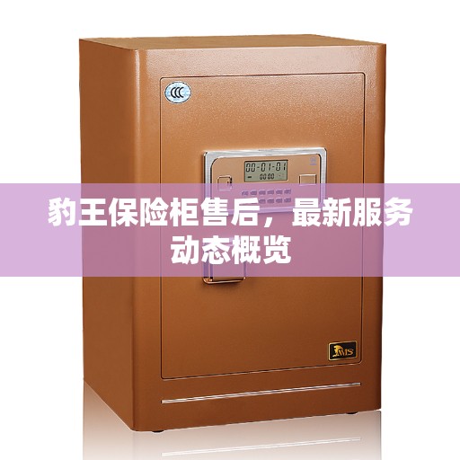 豹王保险柜售后，最新服务动态概览