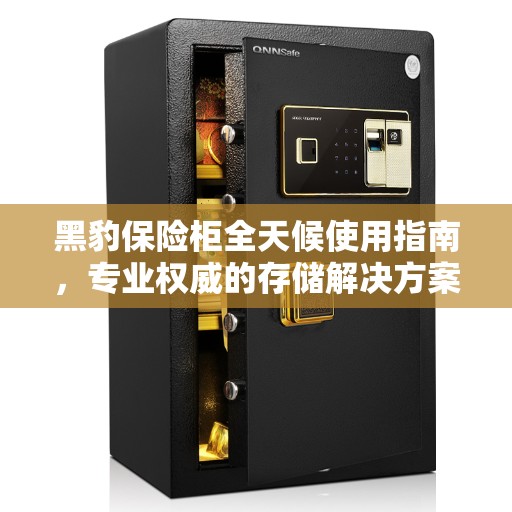 黑豹保险柜全天候使用指南，专业权威的存储解决方案