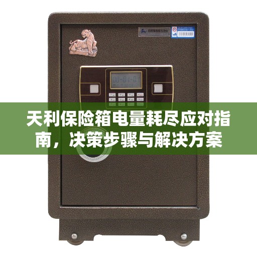天利保险箱电量耗尽应对指南，决策步骤与解决方案