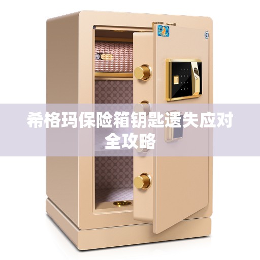 希格玛保险箱钥匙遗失应对全攻略