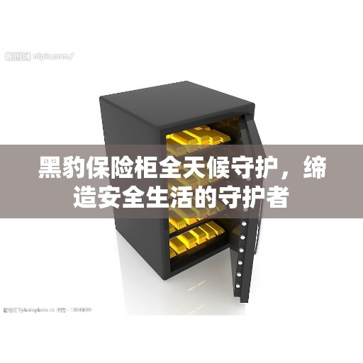 黑豹保险柜全天候守护，缔造安全生活的守护者