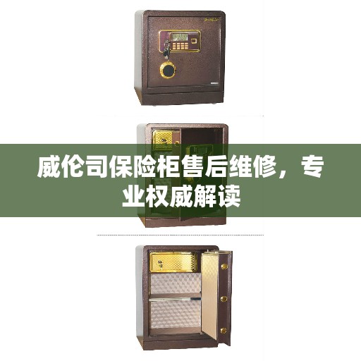 威伦司保险柜售后维修，专业权威解读