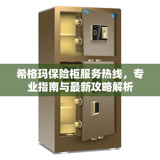 希格玛保险柜服务热线，专业指南与最新攻略解析