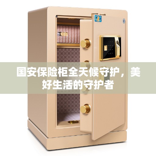 国安保险柜全天候守护，美好生活的守护者