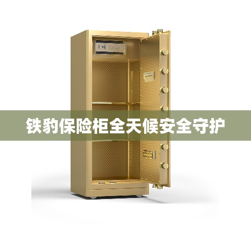 铁豹保险柜全天候安全守护