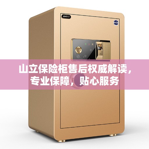 山立保险柜售后权威解读，专业保障，贴心服务