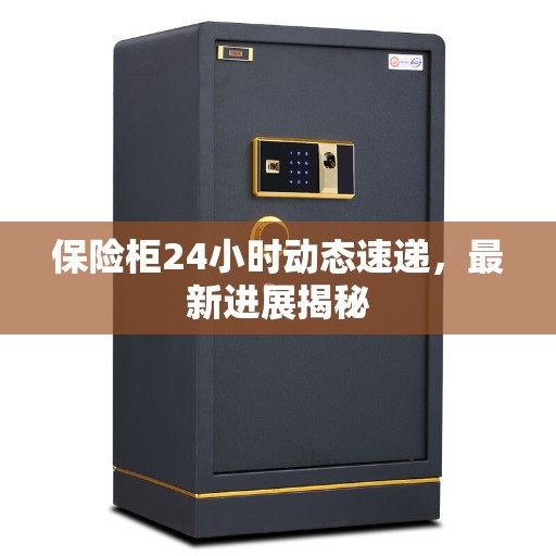 保险柜24小时动态速递，最新进展揭秘