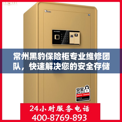 常州黑豹保险柜专业维修团队，快速解决您的安全存储问题