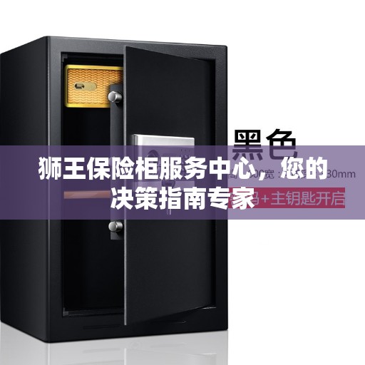 狮王保险柜服务中心，您的决策指南专家
