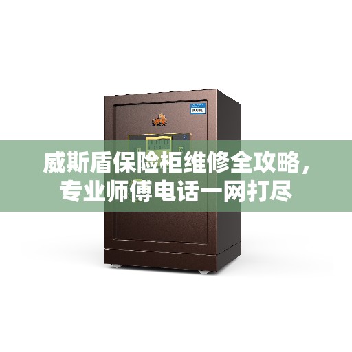 威斯盾保险柜维修全攻略，专业师傅电话一网打尽