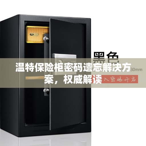温特保险柜密码遗忘解决方案，权威解读