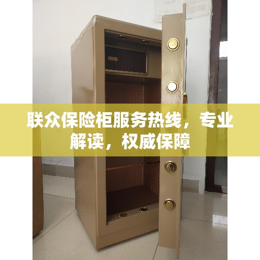 联众保险柜服务热线，专业解读，权威保障